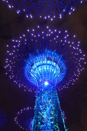 �V���K�|�[���U�T