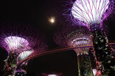 �V���K�|�[���U�U