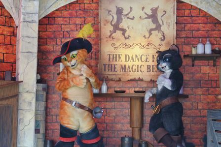 �V���K�|�[���Q�V