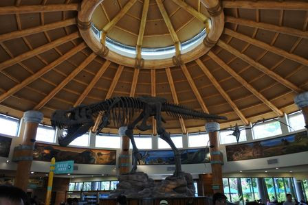 �V���K�|�[���Q�X