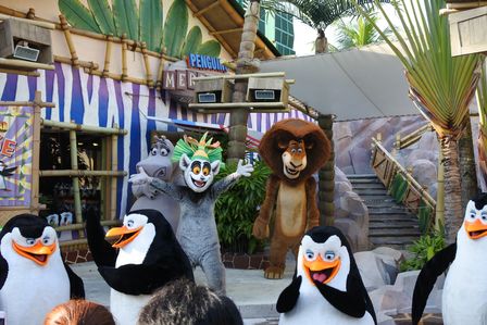 �V���K�|�[���T�R