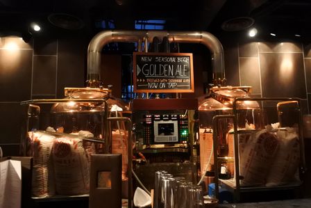 �V���K�|�[���U�W