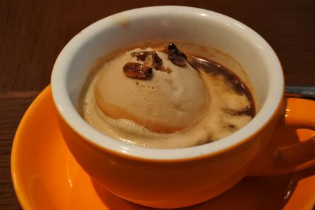 �V���K�|�[���V�T