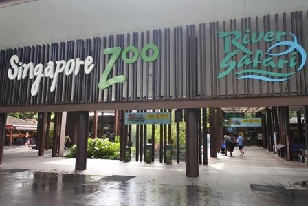 �V���K�|�[���S