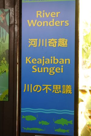 �V���K�|�[���W