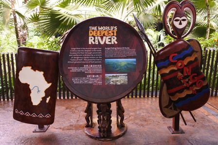 �V���K�|�[���P�T