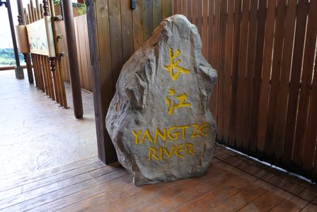 �V���K�|�[���R�Q