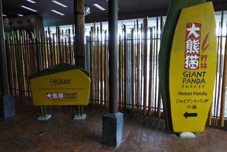 �V���K�|�[���R�U