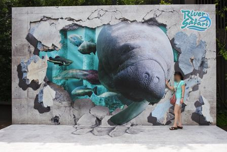 �V���K�|�[���R�X