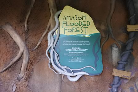 �V���K�|�[���T�P