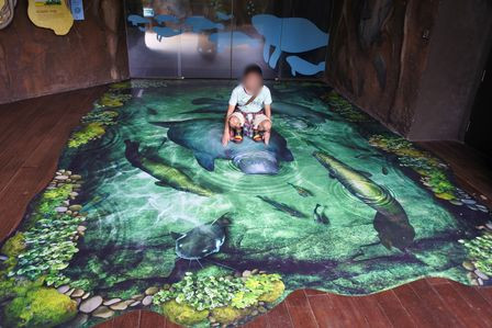 �V���K�|�[���T�Q