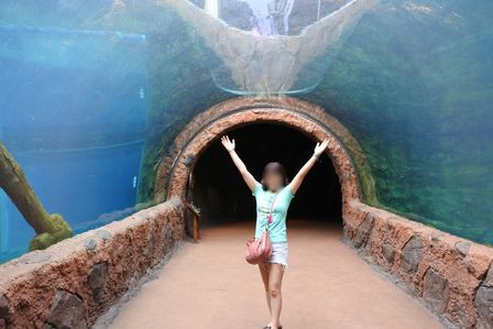 �V���K�|�[���T�R