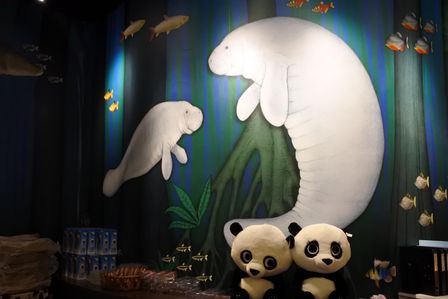 �V���K�|�[���U�S