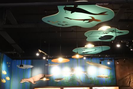 �V���K�|�[���U�T