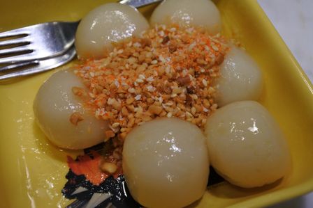 �V���K�|�[���W�P