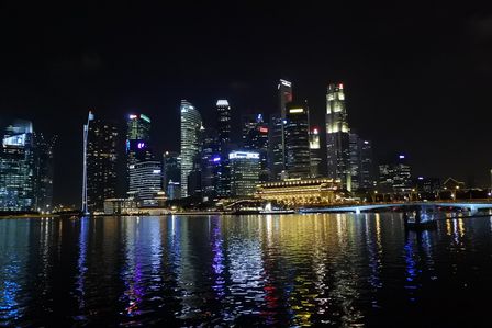 �V���K�|�[���X�R