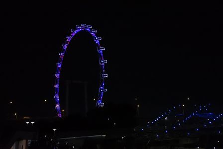 �V���K�|�[���X�S