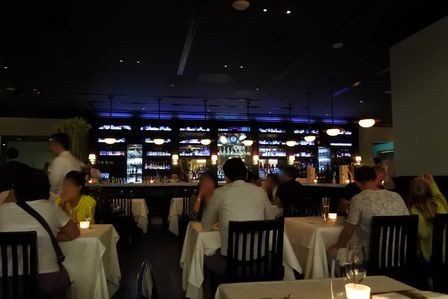 �V���K�|�[���X�W