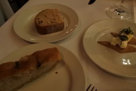 �V���K�|�[���X�X