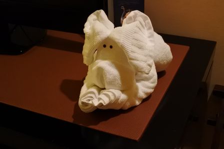 �V���K�|�[���P�O�S