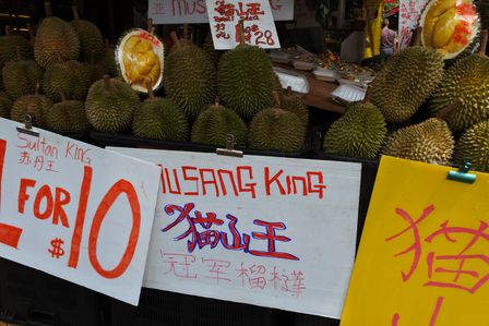 �V���K�|�[���Q�R