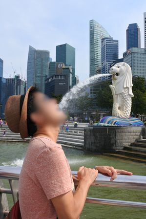 �V���K�|�[���S�T