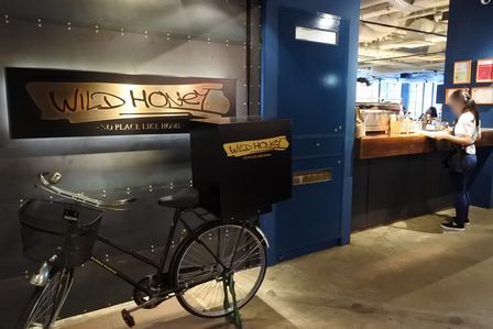 �V���K�|�[���P