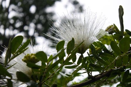 �V���K�|�[���Q�T