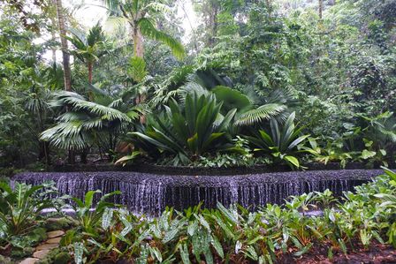 �V���K�|�[���Q�U