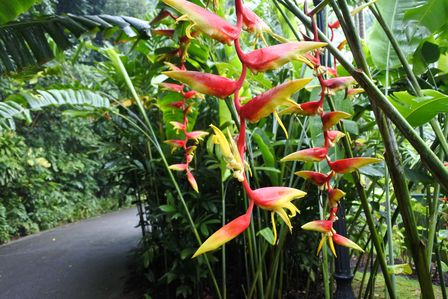 �V���K�|�[���Q�W