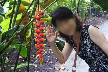 �V���K�|�[���Q�X