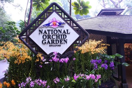 �V���K�|�[���R�R