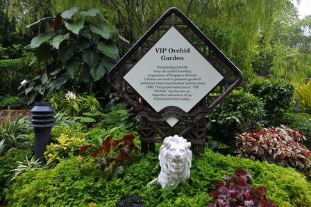 �V���K�|�[���S�S