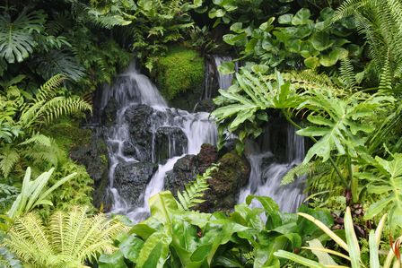 �V���K�|�[���S�W