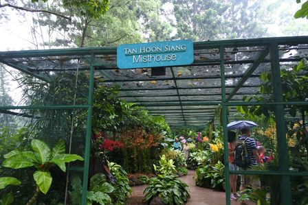 �V���K�|�[���T�P