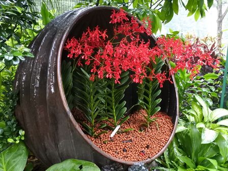 �V���K�|�[���T�Q