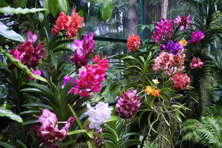 �V���K�|�[���T�U