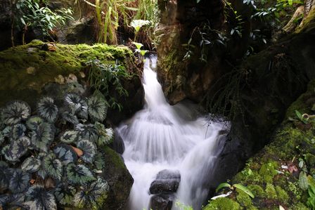 �V���K�|�[���U�Q