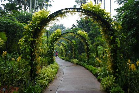 �V���K�|�[���U�U