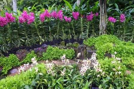 �V���K�|�[���U�V