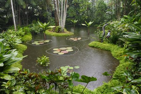 �V���K�|�[���U�W