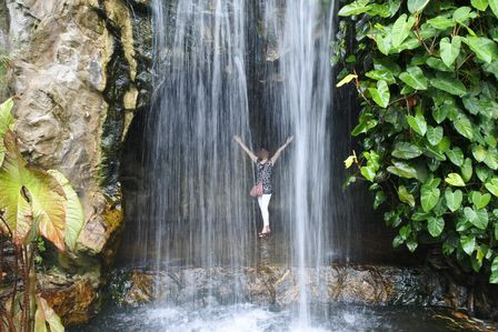 �V���K�|�[���U�X