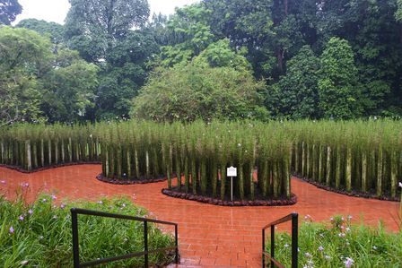 �V���K�|�[���V�O