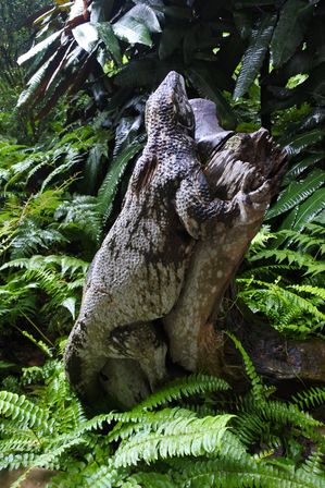 �V���K�|�[���W�Q