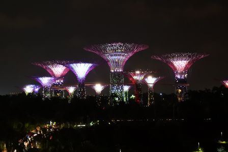 �V���K�|�[���P�O�Q