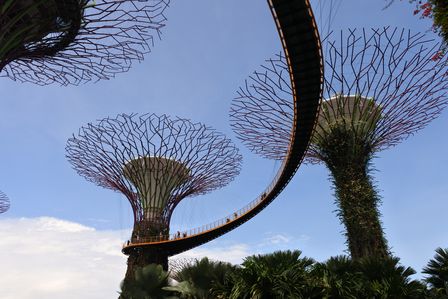 �V���K�|�[���P�O