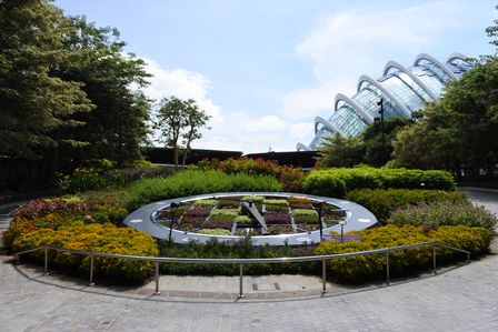 �V���K�|�[���P�P