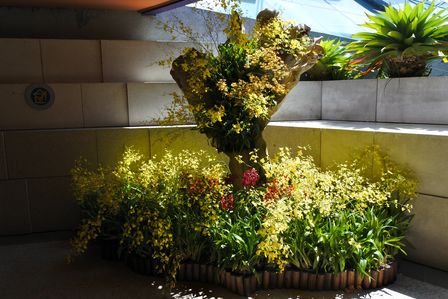 �V���K�|�[���P�R