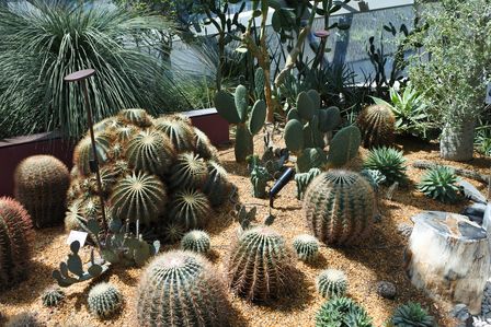 �V���K�|�[���P�U