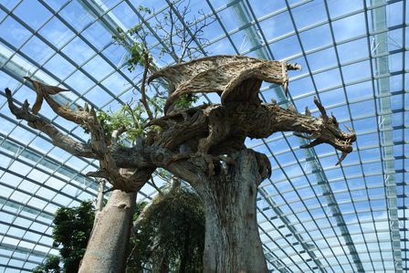 �V���K�|�[���Q�P